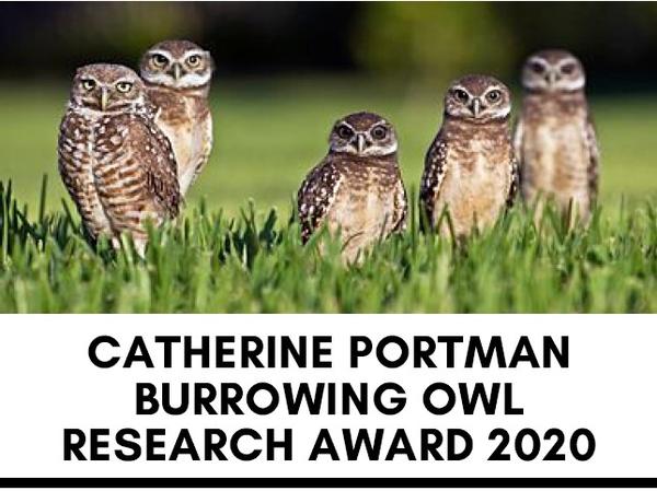 2020 Burrowing Owl Scholarship