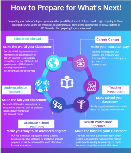 UCR Undergraduate STEM Pipelines