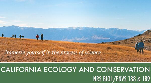 CA Ecology & Conservation Field Research