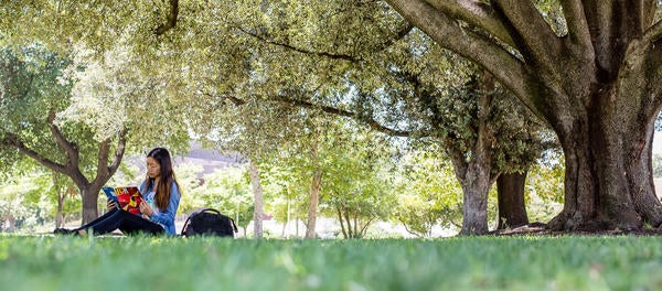 UCR Summer Campus Header