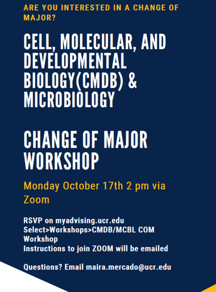 CMDB MCBL COM Workshops