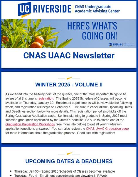 Newsletter Screenshot 25W 2
