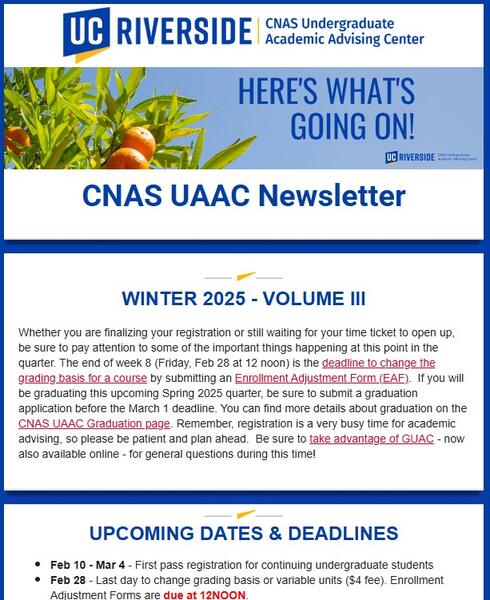 Newsletter Screenshot 25W 3