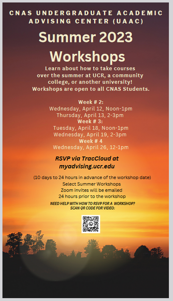 Summer Session Workshops Flyer Image