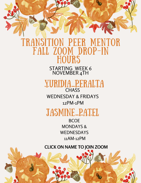 24F Transition Peers Flyer Image