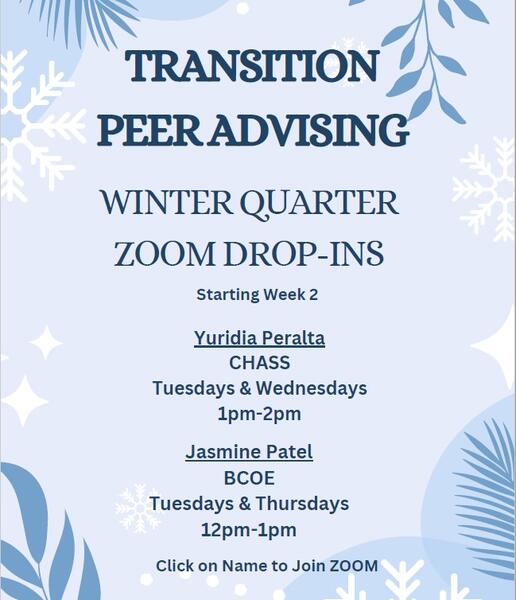 Transition Peers Flyer Image 25W