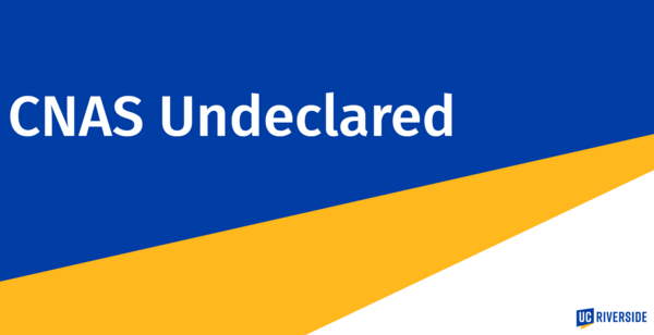 Undeclared Presentation Image