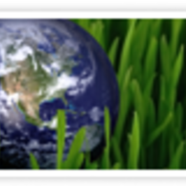 Environmental Sciences Cnas Undergraduate Academic Advising Center